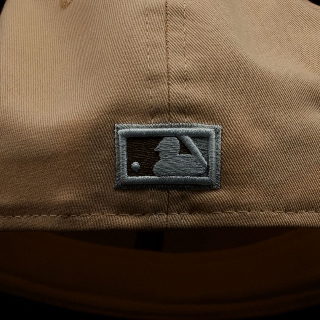 ATLANTA BRAVES 150