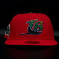 TAMPA BAY DEVIL RAYS 10 SEASONS WATERMELON