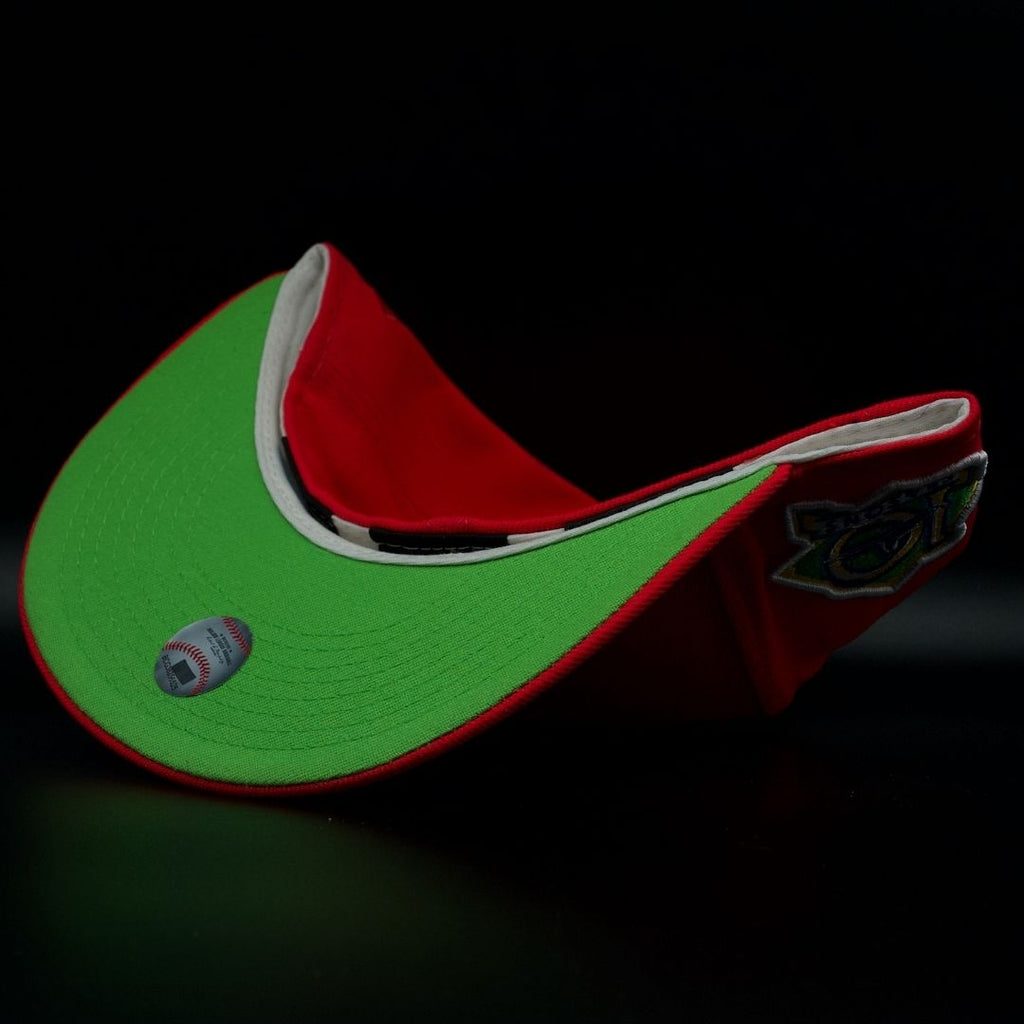 TAMPA BAY DEVIL RAYS 10 SEASONS WATERMELON