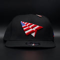 PAPER PLANES AMERICAN DREAM SNAP BACK
