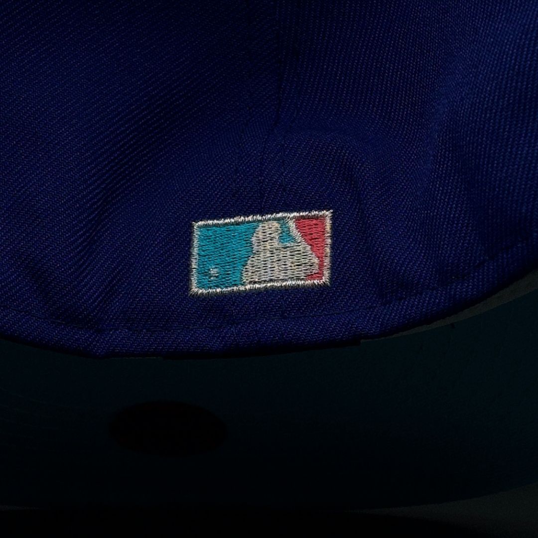 ROCKIES 25'  PURPLE